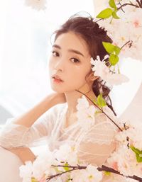 醉酒吻玫瑰霍乔沈昭完本小说推荐_无弹窗免费阅读醉酒吻玫瑰(霍乔沈昭)
