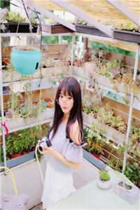 陆总，夫人说这婚迟早要离(陆怀序盛渺)全文免费阅读_最新完结小说推荐陆总，夫人说这婚迟早要离(陆怀序盛渺)