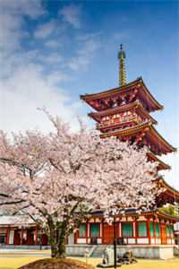 免费小说在线阅读花都神医(周远曾柔)_花都神医(周远曾柔)网络热门小说