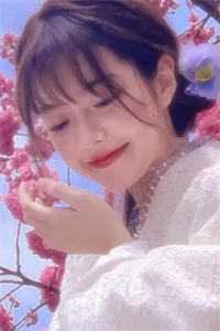 全文阅读免费全集官场：从离婚后扶摇直上(姜云山宁景瑜)_官场：从离婚后扶摇直上姜云山宁景瑜最新小说