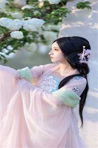 权途红颜