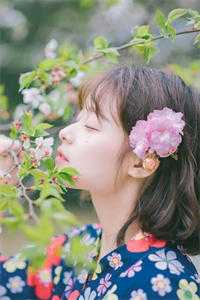 在线阅读免费小说折磨三年归国，丞相哭红眼(林宛如裴寂)_折磨三年归国，丞相哭红眼(林宛如裴寂)热门小说阅读