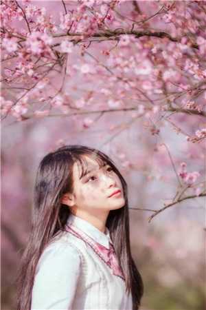盖世刀神完整版（江原叶倾城）全文免费阅读无弹窗大结局_（江原叶倾城）盖世刀神完整版免费阅读全文最新章节列表_笔趣阁（盖世刀神完整版）