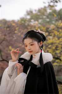 通房上位日记：无欲无求让他发疯苏清婉林冷殇全文免费阅读_小说完结推荐通房上位日记：无欲无求让他发疯(苏清婉林冷殇)