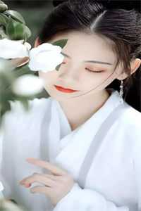 小说绝世双宝：天才娘亲称霸三界
