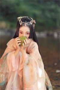 揭局张墉李伯齐免费阅读完整版小说_热门小说阅读揭局张墉李伯齐