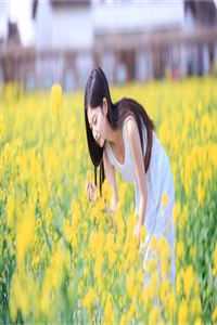 完整免费小说黄昏之恋(董茹老赵)_黄昏之恋董茹老赵完整版免费小说