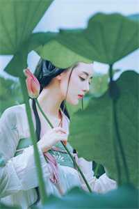 掌心独宠：错撩权势滔天的大佬(沈摘星池骁)热门小说大全_免费小说完结版掌心独宠：错撩权势滔天的大佬(沈摘星池骁)