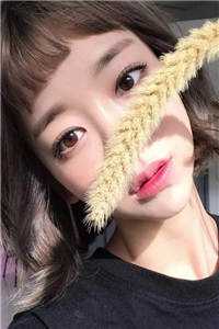 免费小说在线阅读重生：高考白卷，哥要开始摆烂啦！王易黄唯_重生：高考白卷，哥要开始摆烂啦！王易黄唯完结版小说