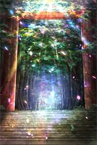 随军替婚我不嫁，转头闪婚年轻首长(牧野秦舒)最热门小说_全文免费小说随军替婚我不嫁，转头闪婚年轻首长(牧野秦舒)