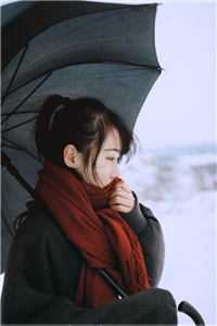 完本小说阅读七十年代之悍妻不好当(秦瑜顾瑾)_七十年代之悍妻不好当(秦瑜顾瑾)小说完结