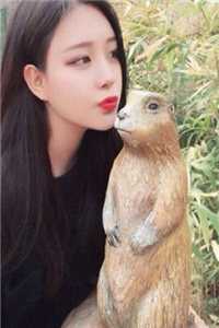 小说最新章节超级上门女婿叶凡袁静_超级上门女婿叶凡袁静免费完结小说