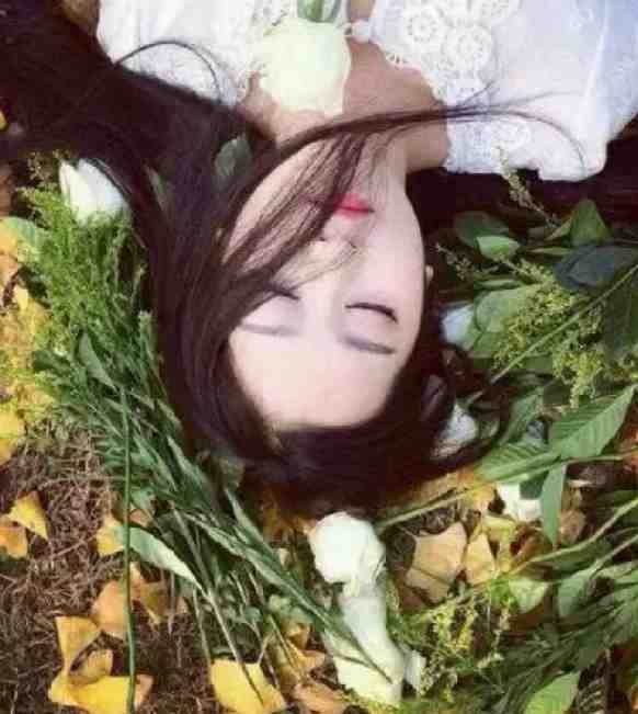 乱世崛起：娇娘退婚，悔不当初江尘慕容琳全本免费小说_小说全文免费阅读乱世崛起：娇娘退婚，悔不当初(江尘慕容琳)