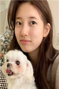 完结小说免费阅读官道凶猛苏莉陈放_官道凶猛苏莉陈放阅读免费小说