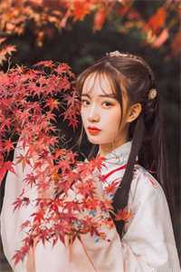 招惹(陆励唐颖)最新好看小说推荐_最热门小说招惹(陆励唐颖)