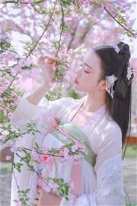 免费小说全集网约车司机？我可是马路判官江安韩相宜_网约车司机？我可是马路判官(江安韩相宜)完结版小说全文免费阅读