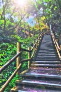 长夜与风说(萧景逸萧君宴)免费小说笔趣阁_在线阅读免费小说长夜与风说萧景逸萧君宴