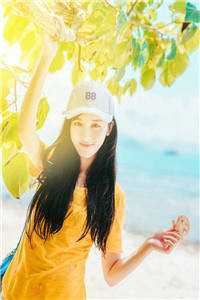 无人渡我过情关(宋司辰江南枝)小说完结推荐_完本免费小说无人渡我过情关(宋司辰江南枝)