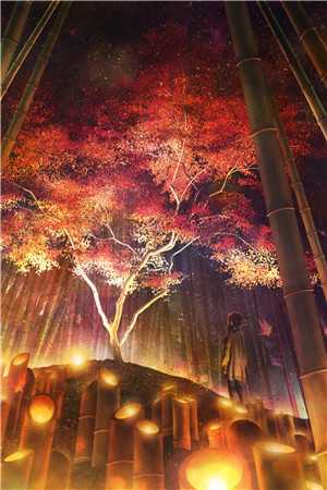 长夜与风说
