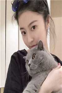 我也愿意为你潜入海底(魏斯越苏稚月)完结的小说_免费小说全本阅读我也愿意为你潜入海底(魏斯越苏稚月)