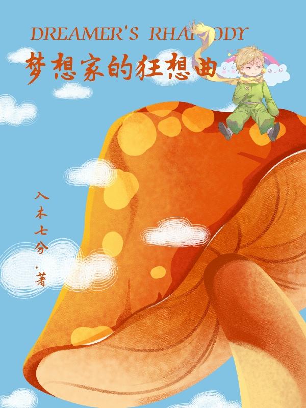 梦想家的狂想曲凌风的小说免费阅读完整版