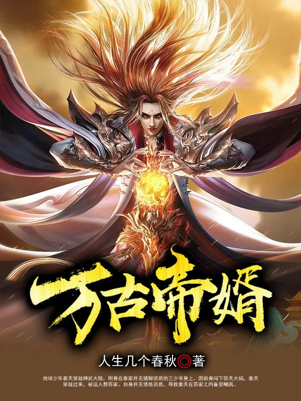 《万古帝婿》小说章节列表免费试读秦天小说全文