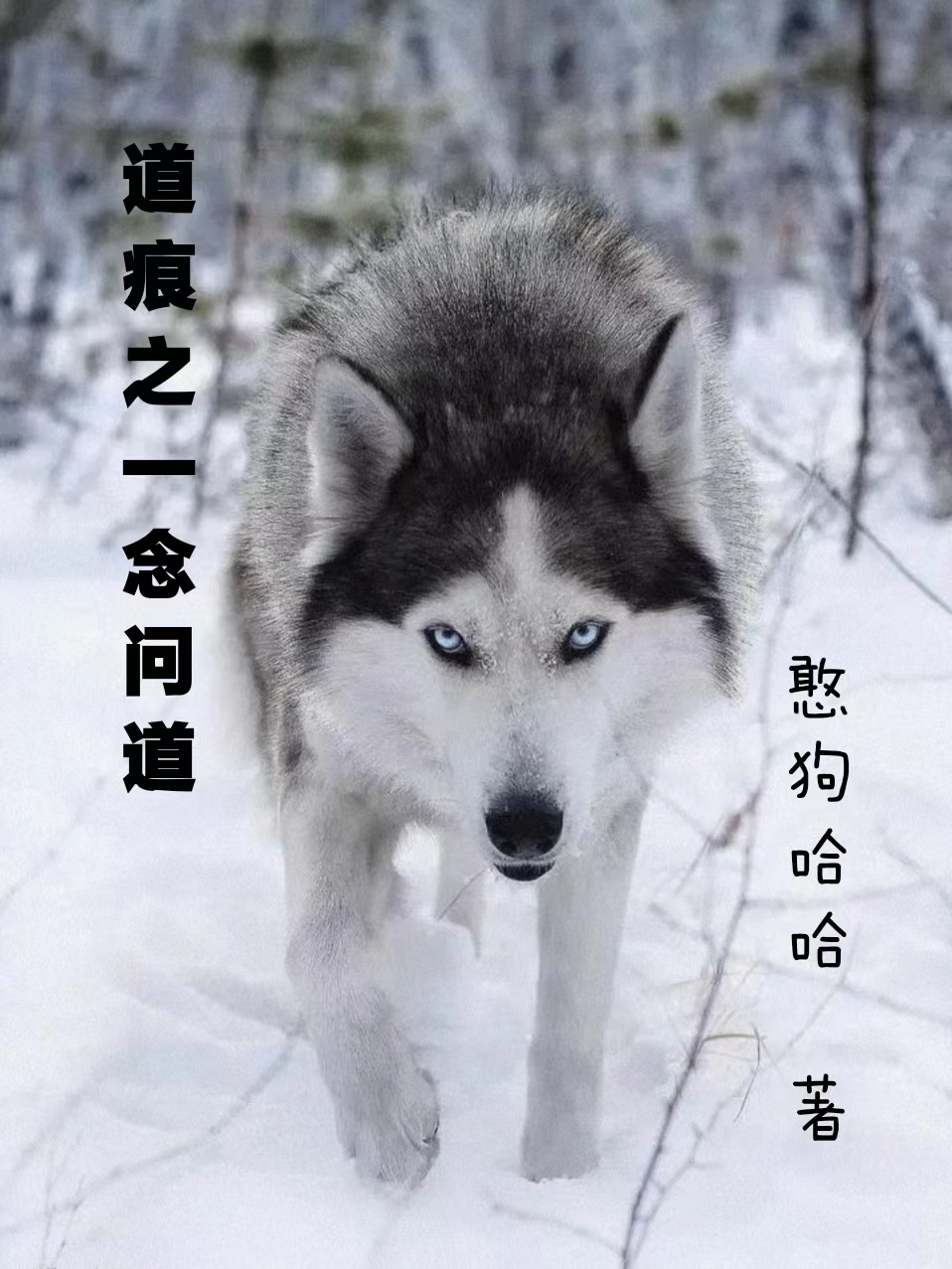 道痕之一念问道林枫小说全文免费阅读