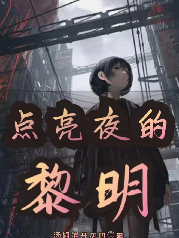 点亮夜的黎明林九的小说免费阅读完整版