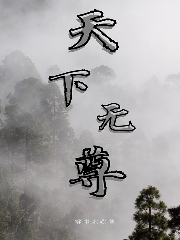 天下无尊(赵枫)小说全文免费阅读