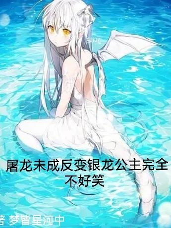 屠龙未成反变银龙公主完全不好笑夜鸢小说全文免费阅读