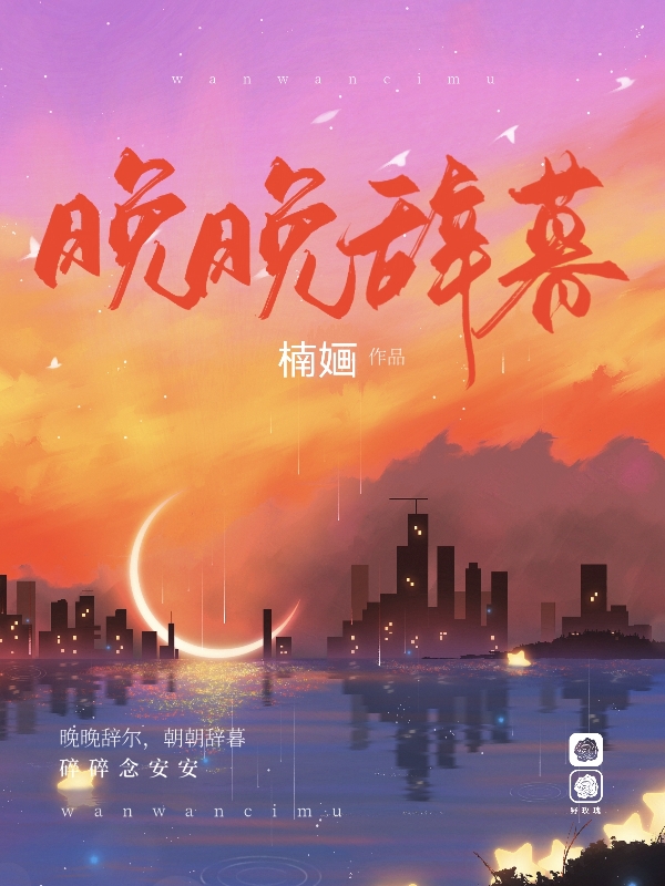 晚晚辞暮全本免费阅读,时晚晚林暮年小说全文