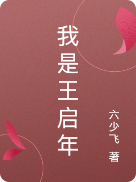 我是王启年最新章节,小说我是王启年无弹窗(王启年)