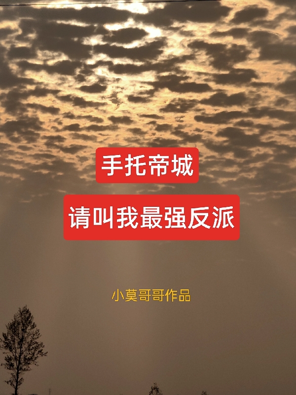 手托帝城，请叫我最强反派！(安澜,小石头)小说全文免费阅读