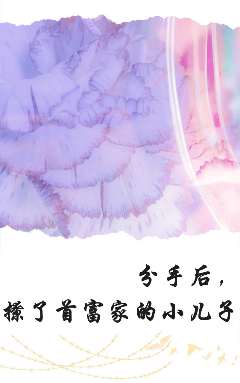 分手后,撩了首富家的小儿子