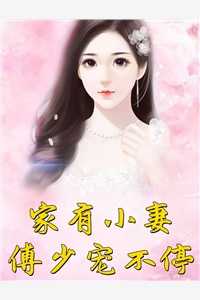 家有小妻傅少宠不停