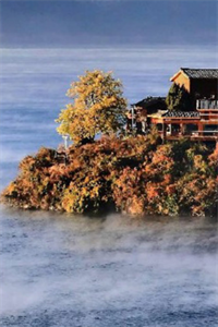 姜茴陆司宴