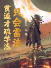 贫道才疏学浅,只会雷法