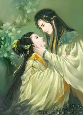 王妃怎么又跑了