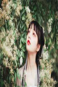 史上最强师尊小说（张无忌贝锦仪）全文免费阅读无弹窗大结局_(史上最强师尊免费阅读全文大结局)最新章节列表_笔趣阁（史上最强师尊）