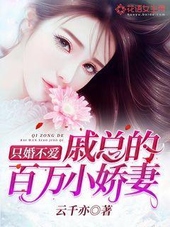 只婚不爱:戚总的百万小娇妻