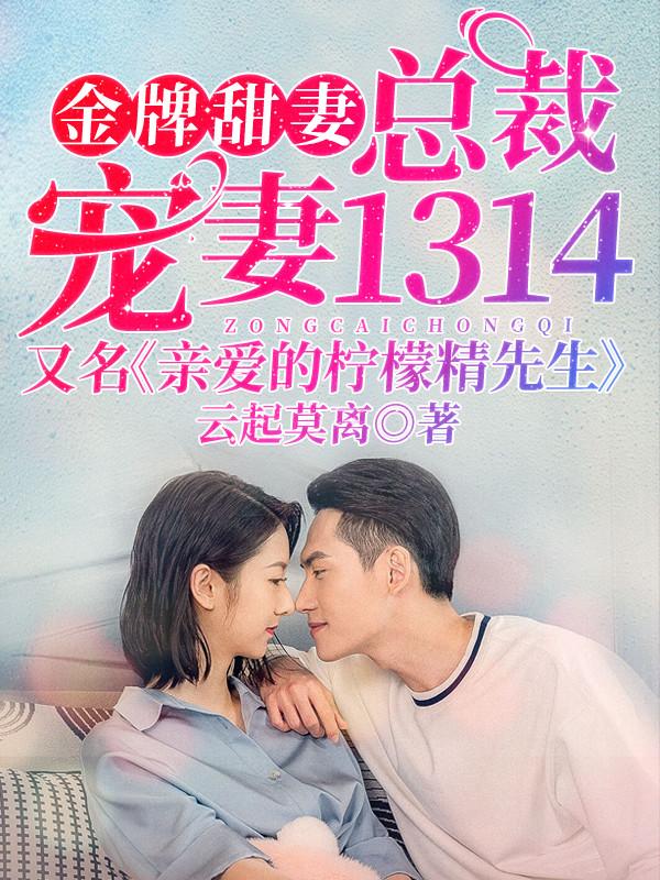金牌甜妻,总裁宠婚1314