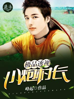 极品透视:小炮村长
