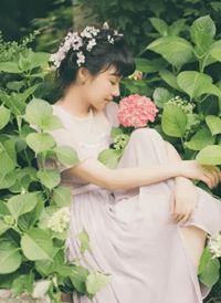 女尊:成了状元郎,我开个后宫不过分吧