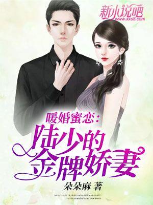 暖婚蜜恋:陆少的金牌娇妻