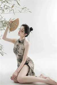 傻婿的逆袭人生
