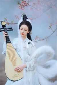 沈星若傅北辰苗洛浅