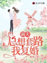 苏总,你前妻又带娃跑路了