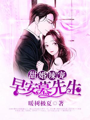 甜婚辣宠:早安,慕先生