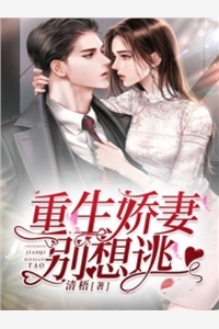 大炎第一傻婿小说