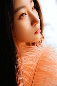 姜婉君凌暮最右